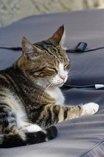 Famille et amis-JUN19-036